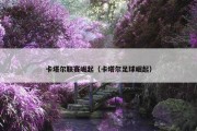 卡塔尔联赛崛起（卡塔尔足球崛起）