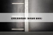 足球队员安切洛蒂（安切洛蒂 国家队）