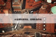 小足球队员作文，足球队友作文