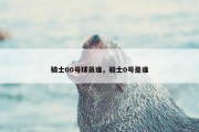 骑士00号球员谁，骑士0号是谁