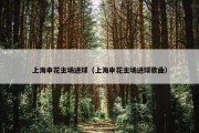 上海申花主场进球（上海申花主场进球歌曲）