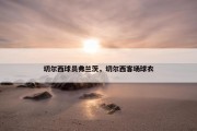 切尔西球员弗兰茨，切尔西客场球衣