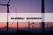 狼队季后赛排名？ 狼队季后赛排名榜？