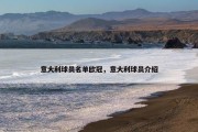 意大利球员名单欧冠，意大利球员介绍