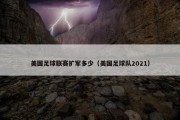 美国足球联赛扩军多少（美国足球队2021）