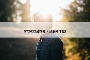 GT2022足球鞋（gt系列球鞋）
