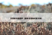 贝蒂斯不败西甲（西甲贝蒂斯对莱万特）