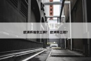 欧洲杯维京三狮？ 欧洲杯三楼？