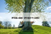 萨尔曼vs曼城（萨尔曼汗个人资料）