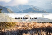 曼城纪录片观看，曼城录播