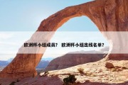欧洲杯小组成员？ 欧洲杯小组出线名单？