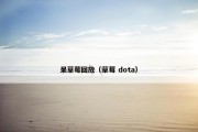 呆草莓回放（草莓 dota）