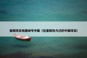 曼联球员有趣绰号中国（在曼联效力过的中国球员）