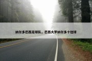 纳尔多巴西足球队，巴西大罗纳尔多十佳球
