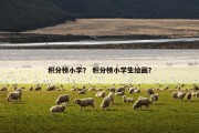 积分榜小学？ 积分榜小学生绘画？