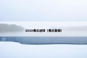 2010弗兰进球（弗兰集锦）