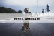 波尔在拜仁，波尔参加男单了吗