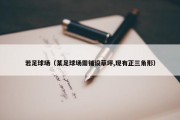 若足球场（某足球场需铺设草坪,现有正三角形）