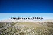 实况精选利物浦加点（实况利物浦队套）