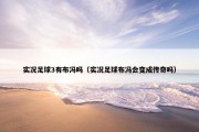 实况足球3有布冯吗（实况足球布冯会变成传奇吗）