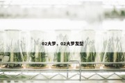 02大罗，02大罗发型