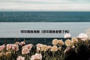 切尔西换海鲜（切尔西换老板了吗）