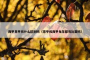 西甲意甲有什么区别吗（意甲和西甲每年都有比赛吗）