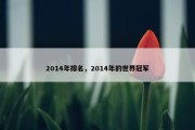 2014年排名，2014年的世界冠军