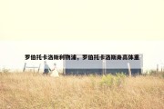 罗伯托卡洛斯利物浦，罗伯托卡洛斯身高体重