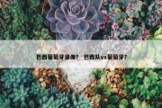 巴西葡萄牙录像？ 巴西队vs葡萄牙？
