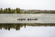 小宣皇马？ 皇马小火箭？