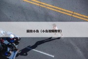 回放小岛（小岛视频教学）