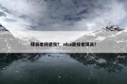球员老将退役？ nba退役老球员？