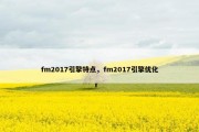 fm2017引擎特点，fm2017引擎优化