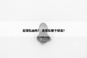 足球队凶吗？ 足球队哪个球员？