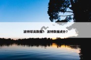 波特球员数据？ 波特数据虎扑？