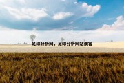 足球分析网，足球分析网站澳客
