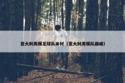 意大利男模足球队身材（意大利男模队巅峰）