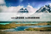 uzirng职业联赛（uzi职业联赛视频）