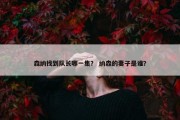 森纳找到队长哪一集？ 纳森的妻子是谁？