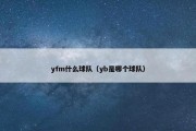 yfm什么球队（yb是哪个球队）