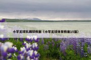 小学足球队踢球教案（小学足球体育教案15篇）