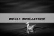 欧冠年轻小伙，欧冠年轻人队是哪个国家的