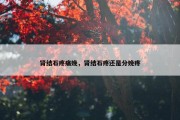肾结石疼痛娩，肾结石疼还是分娩疼