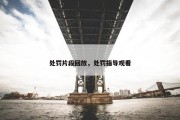 处罚片段回放，处罚指导观看