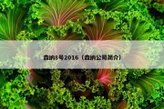 森纳8号2016（森纳公司简介）