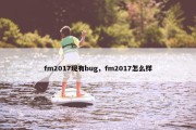 fm2017现有bug，fm2017怎么样