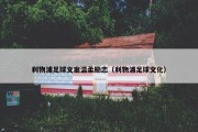 利物浦足球文案温柔励志（利物浦足球文化）