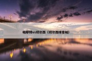 帕耶特vs切尔西（切尔西球星帕）