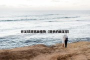 炸足球简笔画植物（简单的画足球）